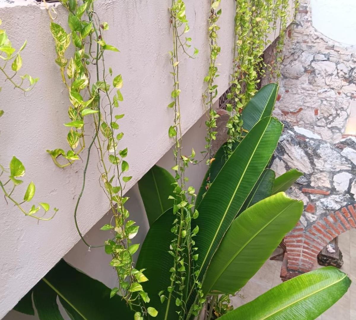 Guest house Doble Con Bano Privado En Getsemani Cartagena
