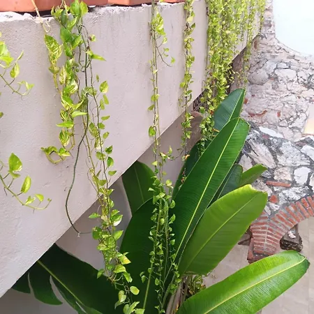 Guest house Doble Con Bano Privado En Getsemani Cartagena