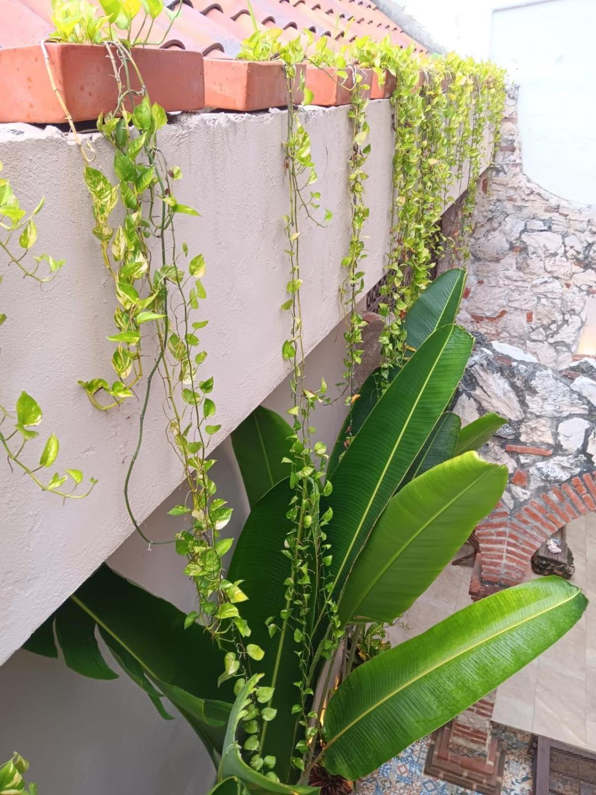 Guest house Doble Con Bano Privado En Getsemani Cartagena